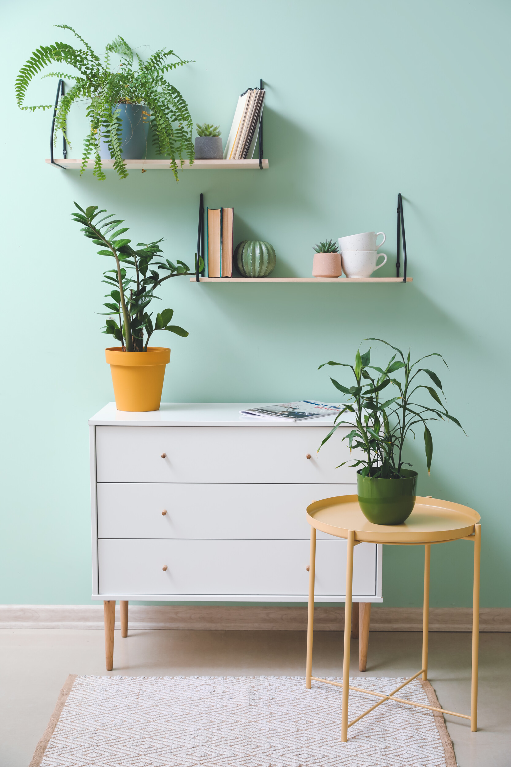 What Goes With Mint Green Walls - Infoupdate.org