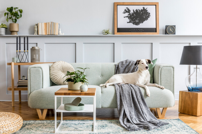 Mint Green Living Room Ideas For A Quick Room Refresh - Décor Aid