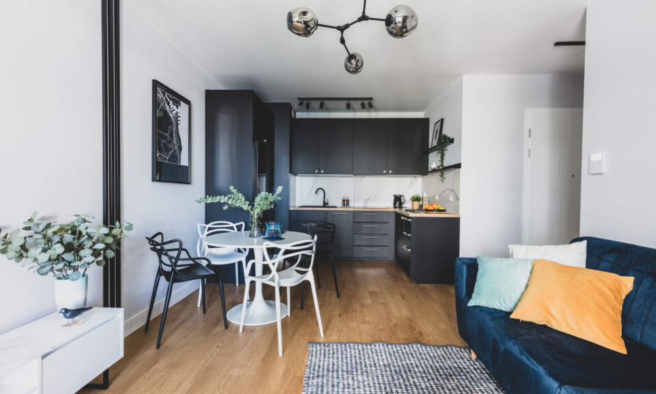 studio apartment with kitchen design
