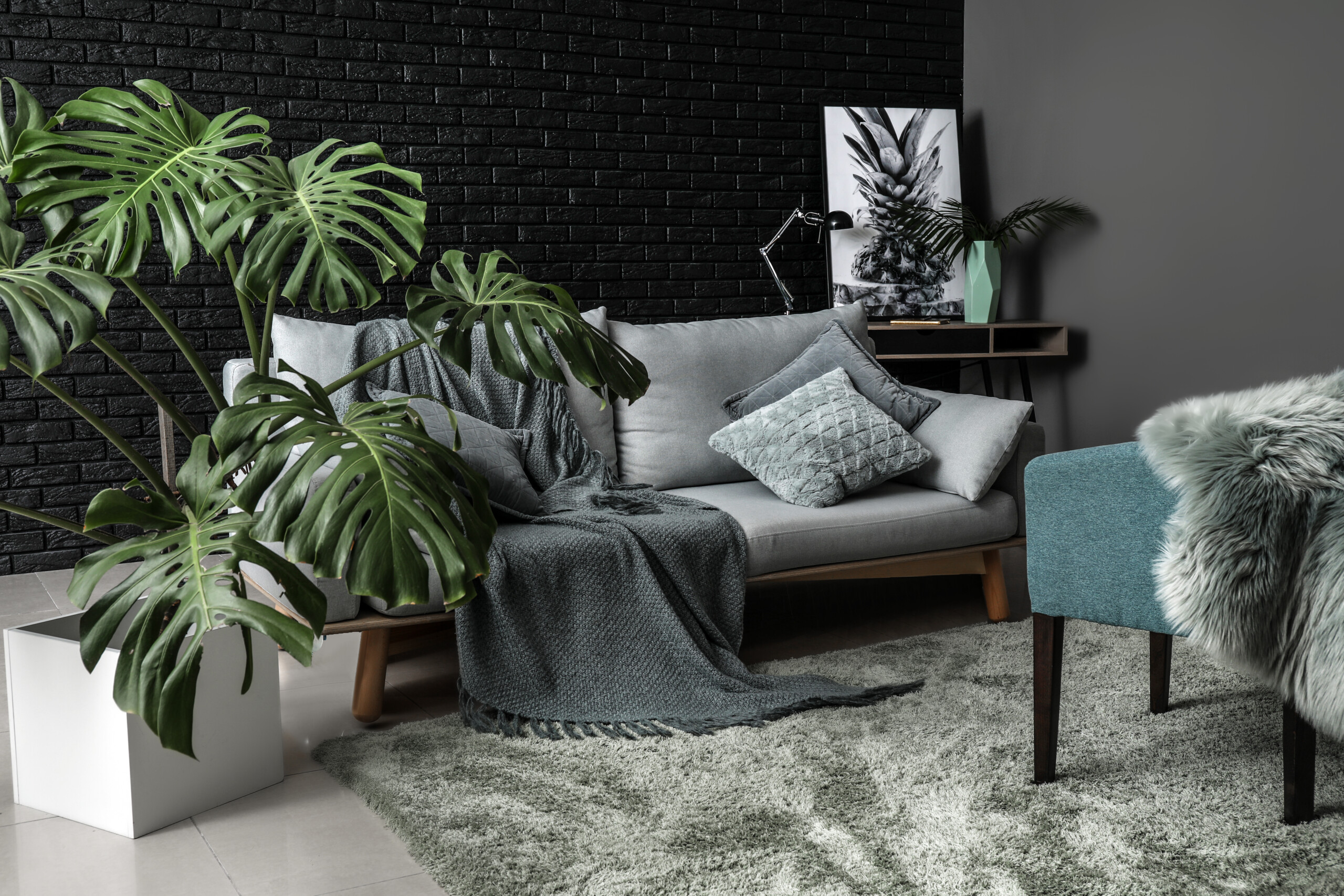Monochrome Tropical Interior Of The Room Scaled 